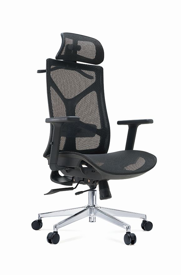 Najbolja ergonomska stolica (1)