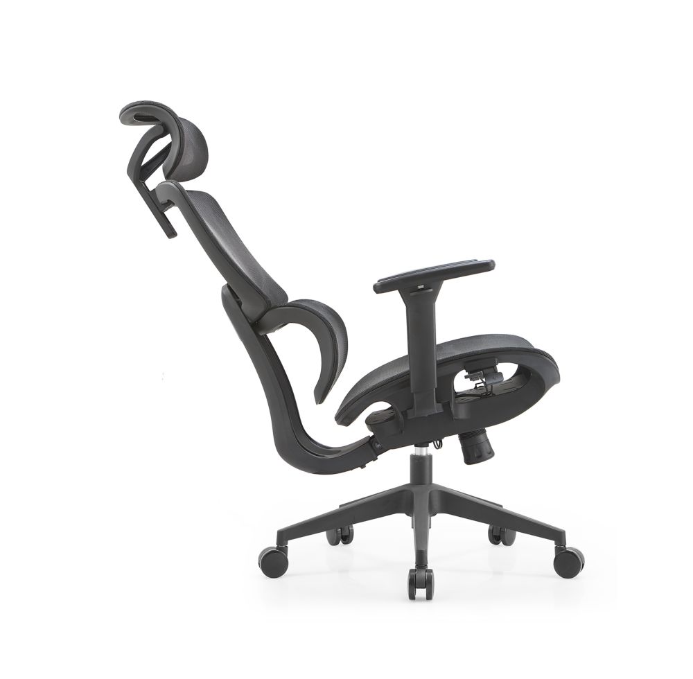 အကောင်းဆုံး Ergonomic Chair (၂) ခု၊