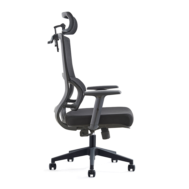 Biraon'ny harato tsara indrindra ho an'ny Ergonomic Executive (4)