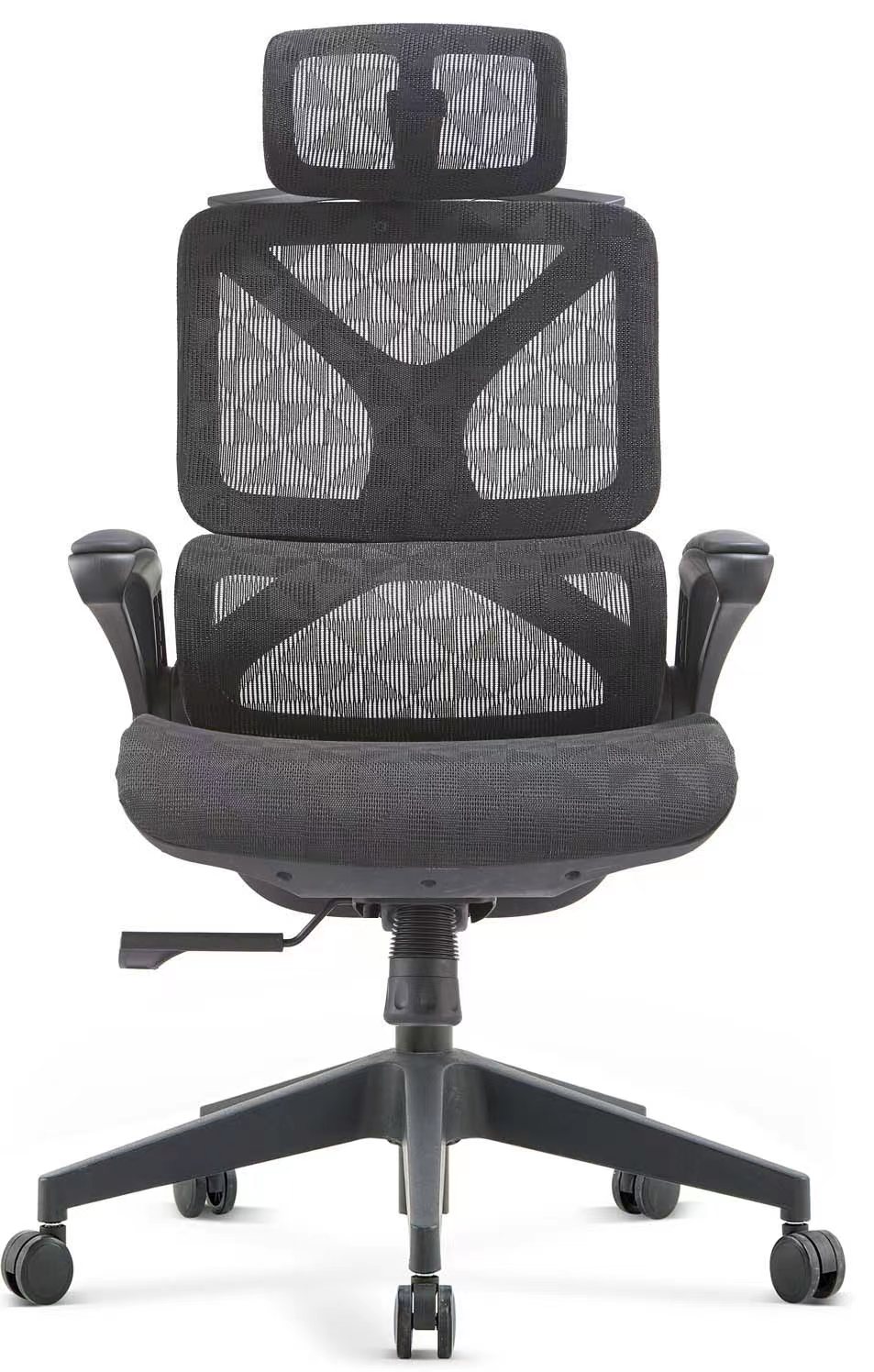 Ergonomic Chair (1)