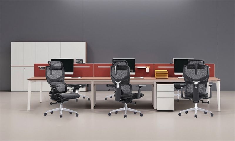 Ergonomic Itunu Office Alaga