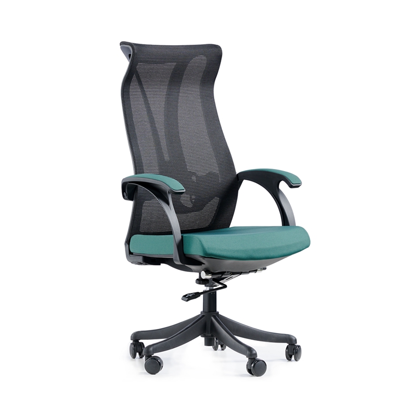 Sedia da ufficio direzionale ergonomica (1)