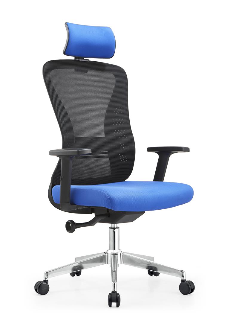 Ergonomic Office ሊቀመንበር በሽያጭ ላይ (1)