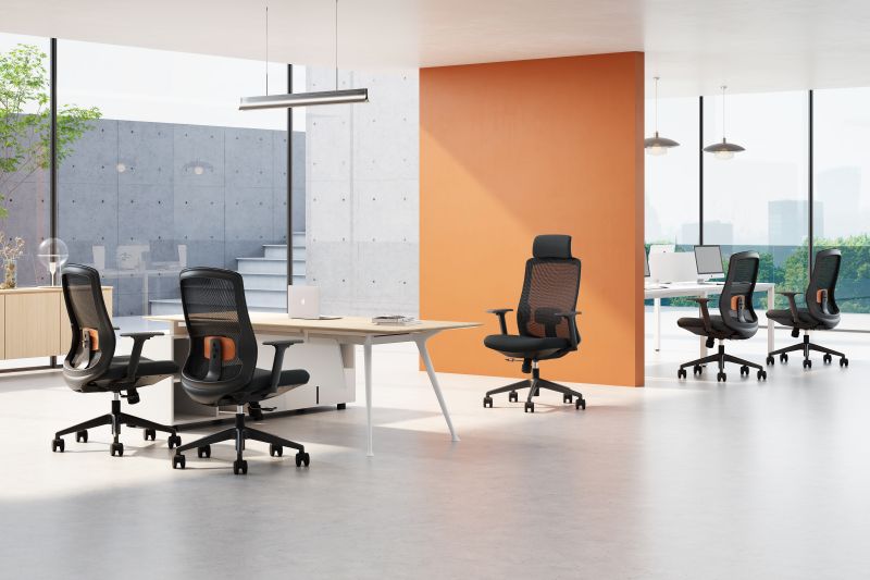 Alase Ergonomic Office Alaga