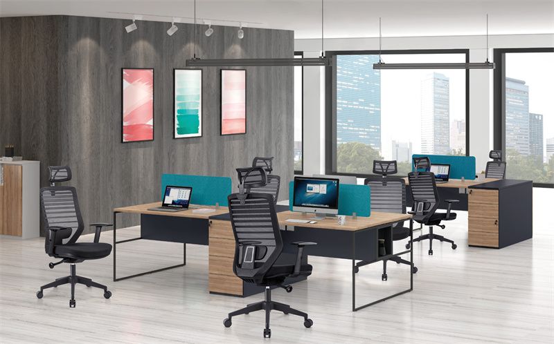 Home Ergonomic Office Alaga