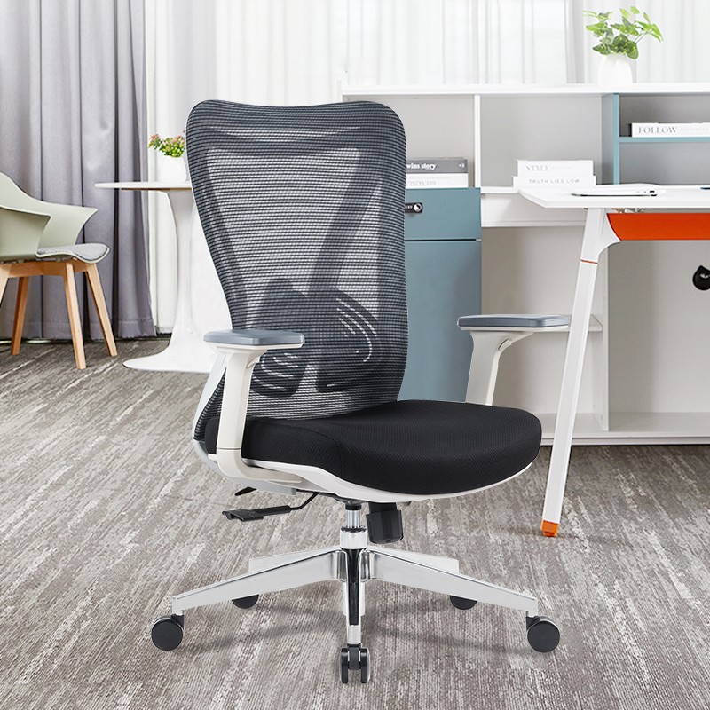 Mid back Ergonomic Office Usihlalo